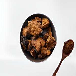 Chaga mushroom